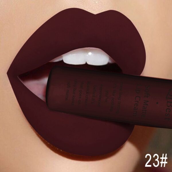 Batom líquido fosco QIBEST, impermeável, duradouro, veludo mate, vermelho nu, brilho labial, tubo de fiapos, maquiagem. - Image 19