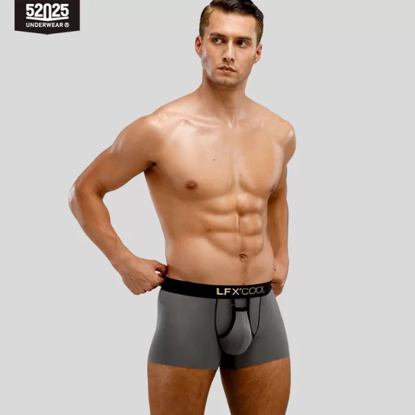 Cuecas boxers masculina, modais de luxo, roupas íntimas confortáveis, cuecas sexy ecologicamente corretas, design original, voar aberto, 52025 - Image 7