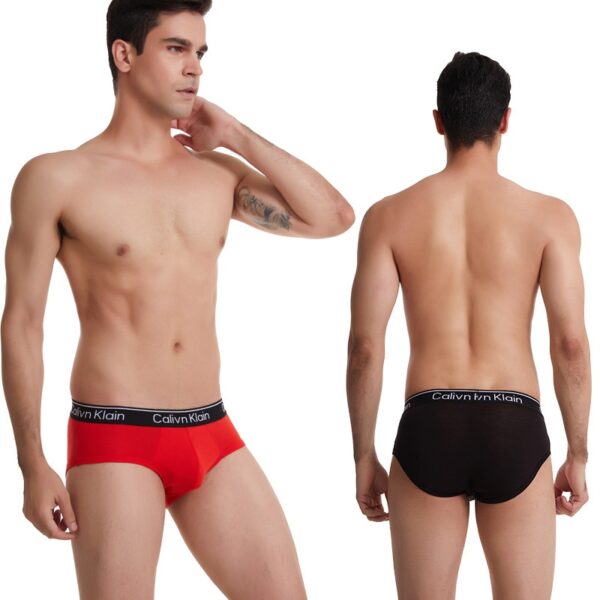 Kit 5pcs Cueca masculina respirável gelo seda roupa interior cuecas 3d-pouch tanga - Image 8