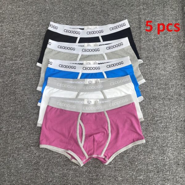 Cueca algodão, listrada Masculina, Troncos Boxer, Shorts Cuecas, 365, 5 Pcs por Lote - Image 3