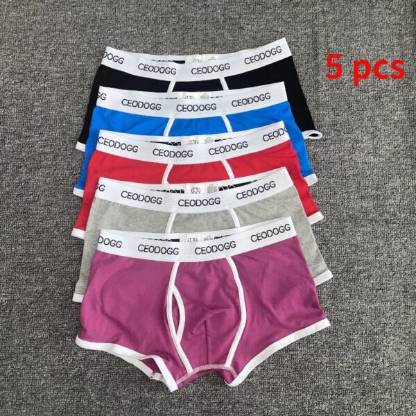 Cueca algodão, listrada Masculina, Troncos Boxer, Shorts Cuecas, 365, 5 Pcs por Lote - Image 2