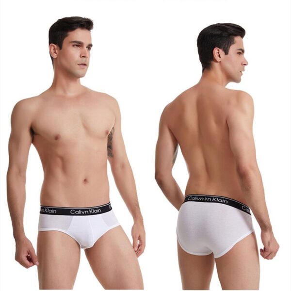Kit 5pcs Cueca masculina respirável gelo seda roupa interior cuecas 3d-pouch tanga - Image 4