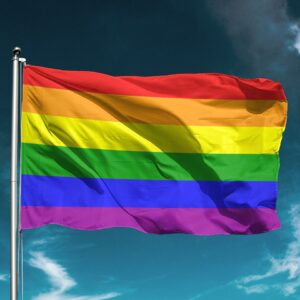 Bandeira do orgulho LGBTQ, gay, orgulho, desfile, decoração ao ar livre, decoração da parede, pano de fundo
