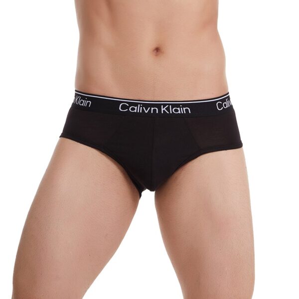 Kit 5pcs Cueca masculina respirável gelo seda roupa interior cuecas 3d-pouch tanga - Image 7