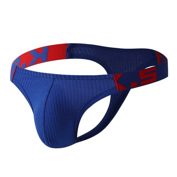 Cuecas masculina Jockstrap, sexy , gay transparente corda homme deslizamento erótico - Image 6