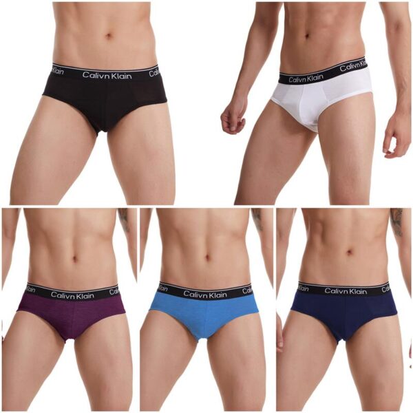 Kit 5pcs Cueca masculina respirável gelo seda roupa interior cuecas 3d-pouch tanga - Image 2