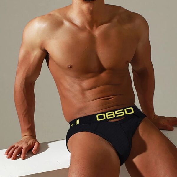 Cuecas masculina LGBTQ Jockstrap, Orlvs, sexy gay briefs underwear,  respirável kincker, cuecas  gay cueca tanga - Image 25