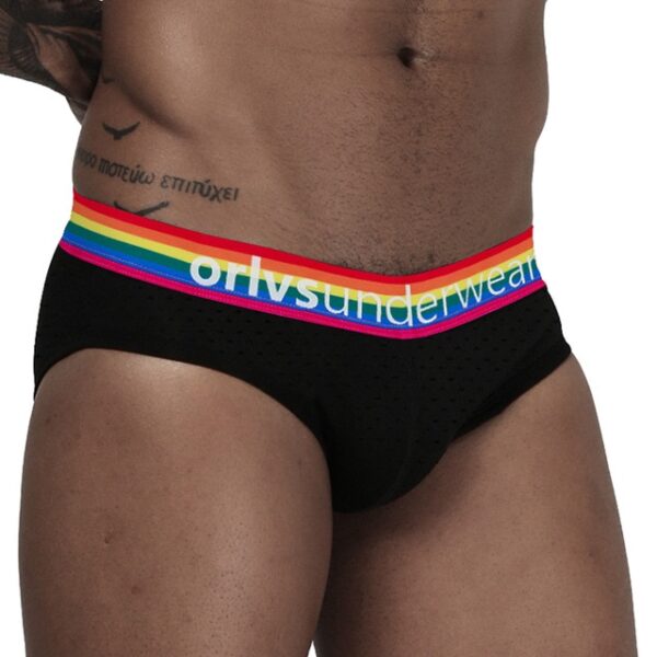 Cuecas masculina LGBTQ Jockstrap, Orlvs, sexy gay briefs underwear,  respirável kincker, cuecas  gay cueca tanga - Image 26