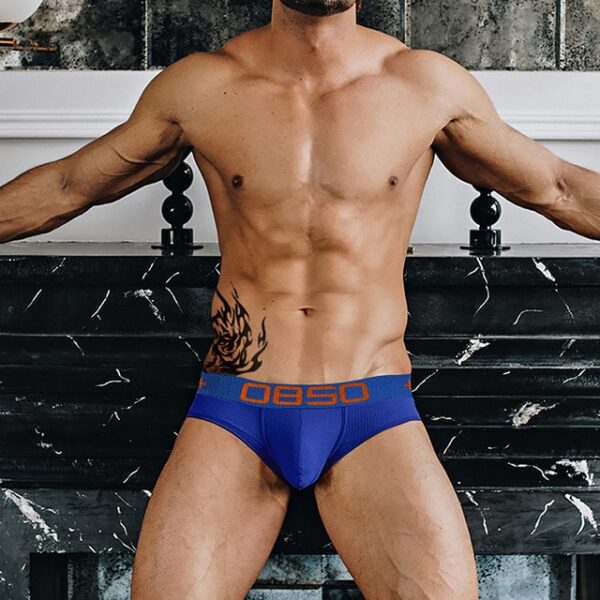 Cuecas masculina LGBTQ Jockstrap, Orlvs, sexy gay briefs underwear,  respirável kincker, cuecas  gay cueca tanga - Image 17