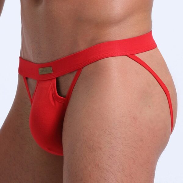 Cuecas masculina LGBTQ Jockstrap, Gay, G-Strings e Thongs, Bolsa para Pênis, Sexy, Nádegas, Tanga Oca, Algodão - Image 6