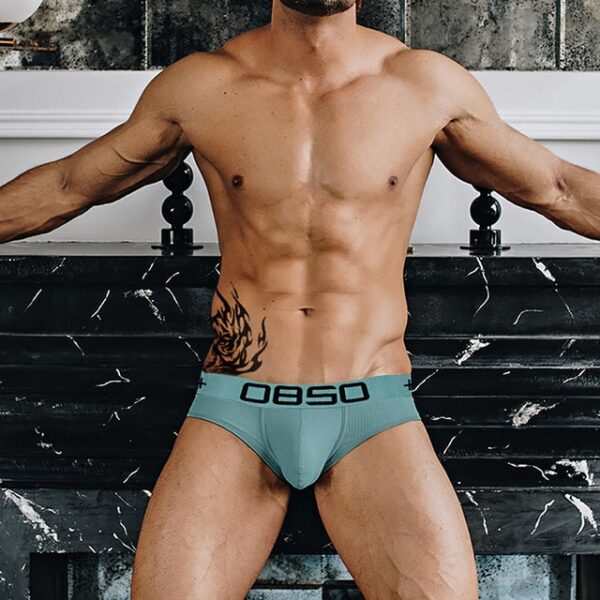 Cuecas masculina LGBTQ Jockstrap, Orlvs, sexy gay briefs underwear,  respirável kincker, cuecas  gay cueca tanga - Image 19