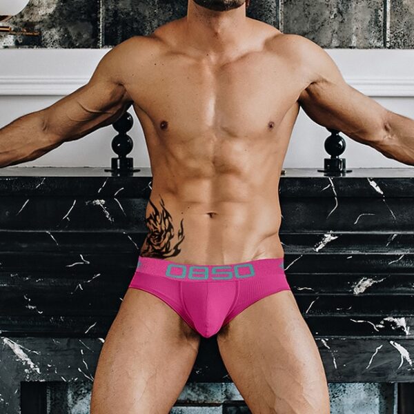 Cuecas masculina LGBTQ Jockstrap, Orlvs, sexy gay briefs underwear,  respirável kincker, cuecas  gay cueca tanga - Image 12