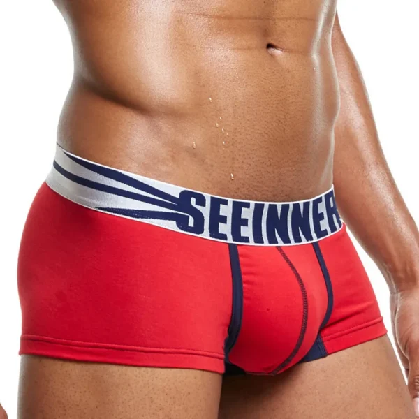 Cuecas masculina de algodão, LGBTQ, boxer, 25 estilos de marca sexy, boxers, calzoncillos hombre deslizamento shorts - Image 2