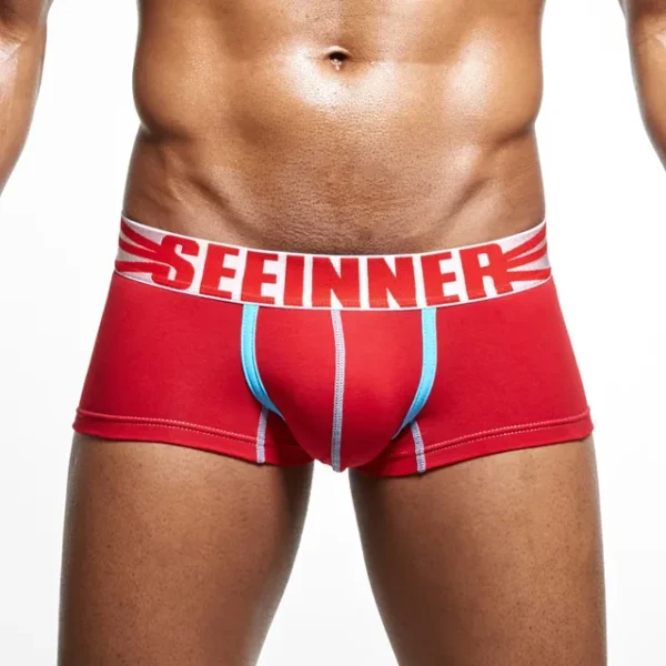 Cuecas masculina de algodão, LGBTQ, boxer, 25 estilos de marca sexy, boxers, calzoncillos hombre deslizamento shorts - Image 15