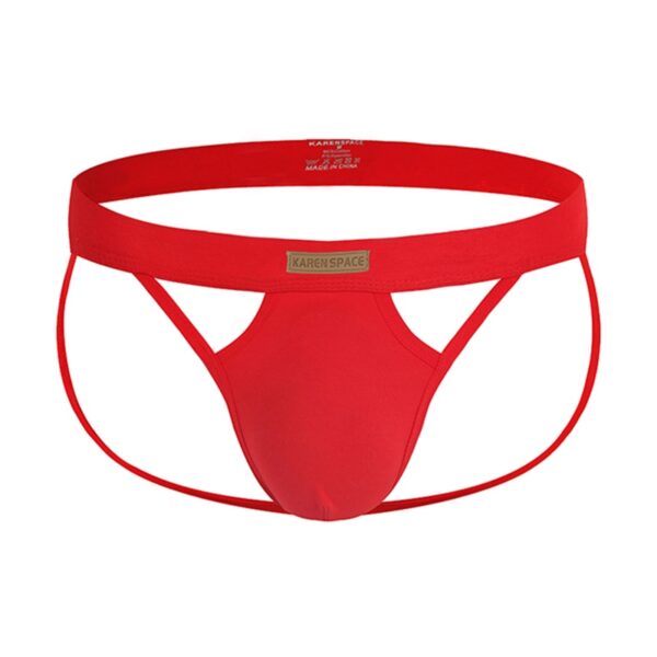 Cuecas masculina LGBTQ Jockstrap, Gay, G-Strings e Thongs, Bolsa para Pênis, Sexy, Nádegas, Tanga Oca, Algodão - Image 2