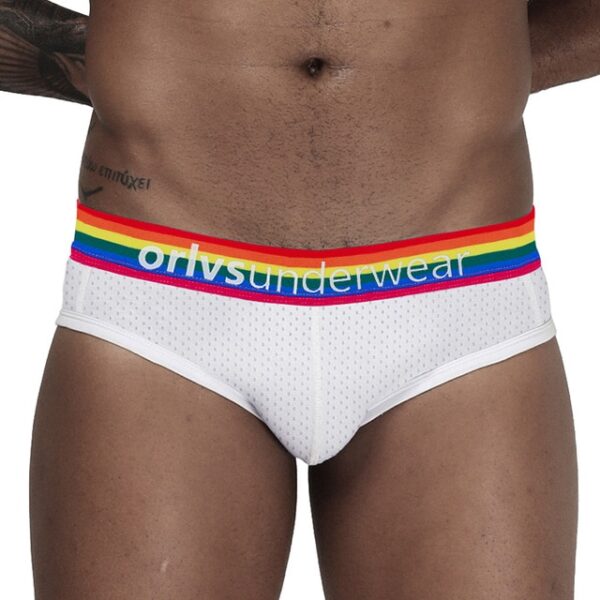 Cuecas masculina LGBTQ Jockstrap, Orlvs, sexy gay briefs underwear,  respirável kincker, cuecas  gay cueca tanga - Image 6