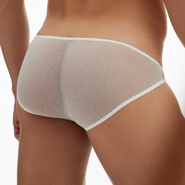 Cuecas masculina cintura baixa transparente, LGBTQ, cuecas sexy, malha transparente, bojo bolsa para pênis, jockstrap, erótico, gay, lingerie, cuecas