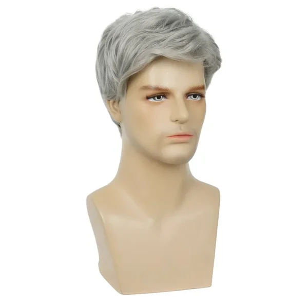 Perucas encaracolada curta natural para homens, Fluffy, cinza e branco, cabelo falso, fantasia Cosplay, masculino, cara - Image 5