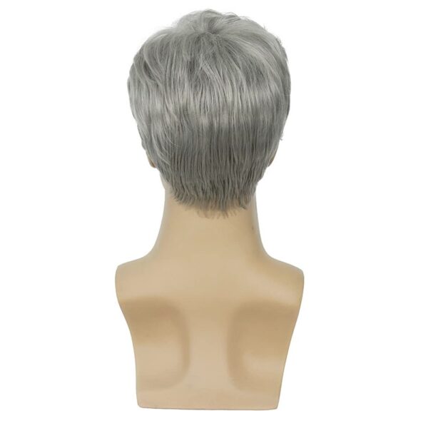 Perucas encaracolada curta natural para homens, Fluffy, cinza e branco, cabelo falso, fantasia Cosplay, masculino, cara - Image 2