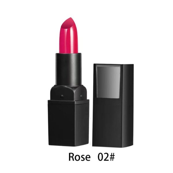 Batom a prova d água, Waterproof Nude Matte Lipsticks, Long Lasting Lip Stick, não desbota, Sexy vermelho, rosa, Velvet Lipsticks, 6 cores - Image 10