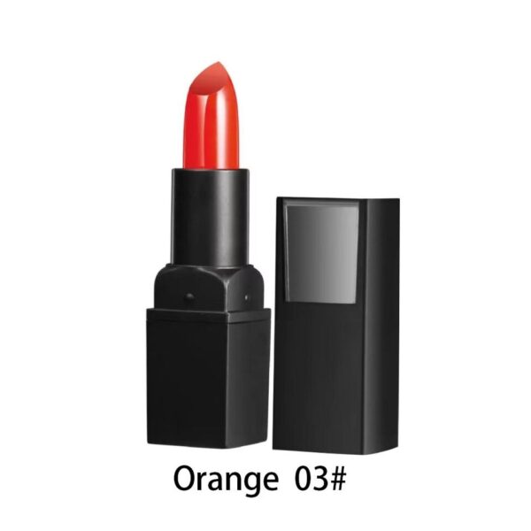 Batom a prova d água, Waterproof Nude Matte Lipsticks, Long Lasting Lip Stick, não desbota, Sexy vermelho, rosa, Velvet Lipsticks, 6 cores - Image 9