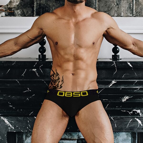 Cuecas masculina LGBTQ Jockstrap, Orlvs, sexy gay briefs underwear,  respirável kincker, cuecas  gay cueca tanga - Image 3