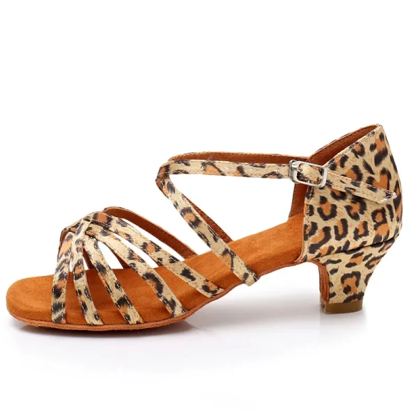 Sapatos de Dança de Salão feminino, Salto Baixo, de Dança Latina, de Dança Profissional, 17-26cm - Image 12