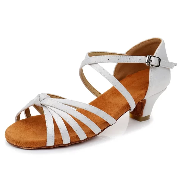 Sapatos de Dança de Salão feminino, Salto Baixo, de Dança Latina, de Dança Profissional, 17-26cm - Image 16