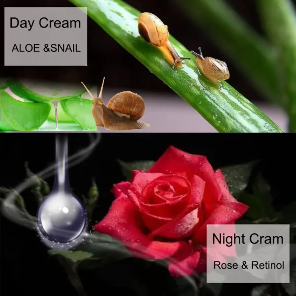 Creme Dia e Noite Retinol, Soro Facial, Clareamento, Hidratante, Anti-Rugas, Envelhecimento, Nutritivo, Cuidados com a Pele, Cosméticos Coreanos - Image 3