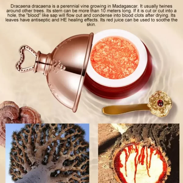 Creme rejuvenescedor, Placenta Essence Dragon's Blood Face Cream, Lift Firming, remover rugas, anti-envelhecimento, beleza, cuidados com a pele, cosméticos coreanos - Image 6