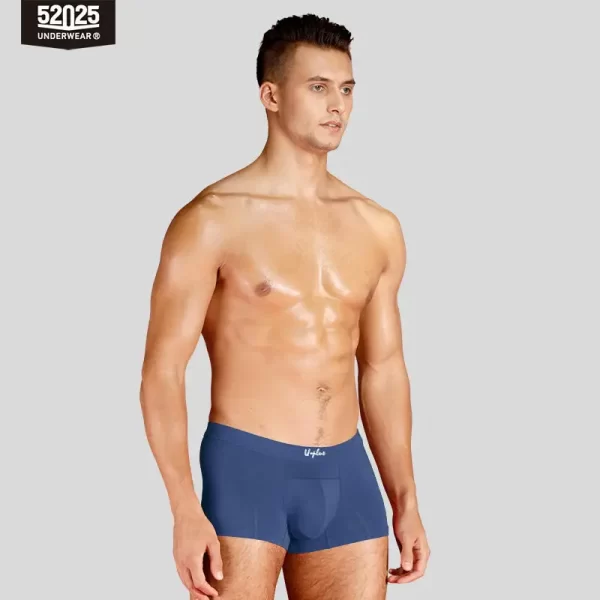 Cuecas masculina, modais de resfriamento sedoso antibacteriano, macias e respiráveis, pantufas sensuais de alta qualidade, 52025 - Image 16