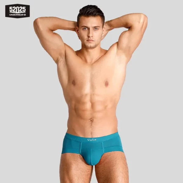 Cuecas masculina, modais de resfriamento sedoso antibacteriano, macias e respiráveis, pantufas sensuais de alta qualidade, 52025 - Image 24