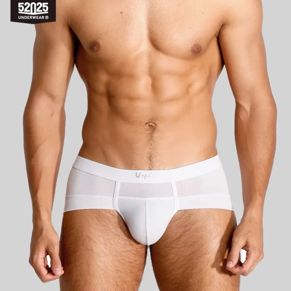 Cuecas masculina, modais de resfriamento sedoso antibacteriano, macias e respiráveis, pantufas sensuais de alta qualidade, 52025 - Image 4