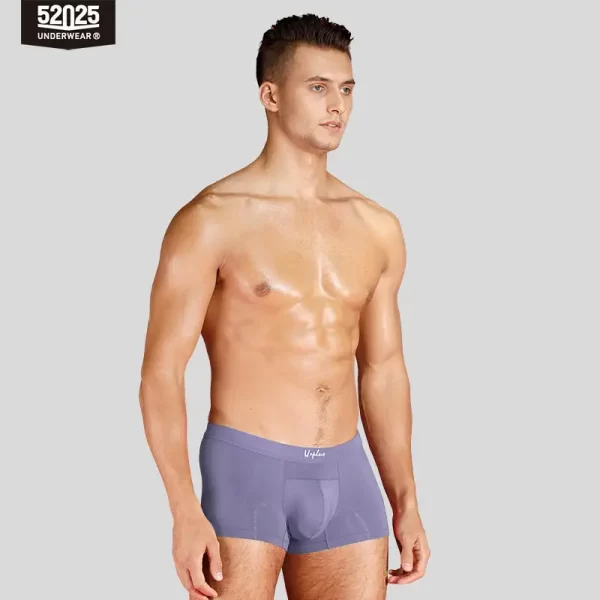 Cuecas masculina, modais de resfriamento sedoso antibacteriano, macias e respiráveis, pantufas sensuais de alta qualidade, 52025 - Image 14