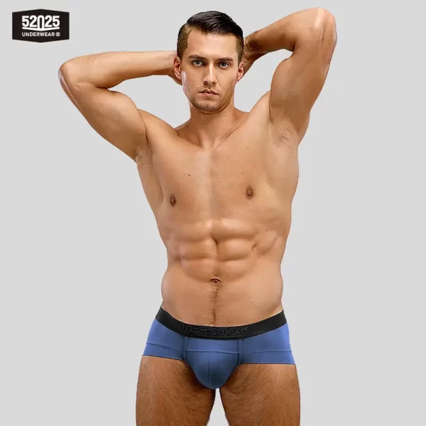 Cuecas masculina, modais de resfriamento sedoso antibacteriano, macias e respiráveis, pantufas sensuais de alta qualidade, 52025 - Image 30