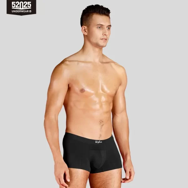 Cuecas masculina, modais de resfriamento sedoso antibacteriano, macias e respiráveis, pantufas sensuais de alta qualidade, 52025 - Image 18