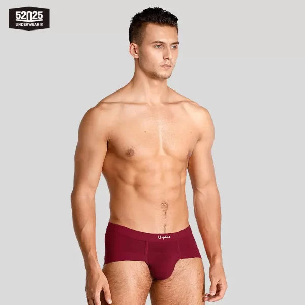 Cuecas masculina, modais de resfriamento sedoso antibacteriano, macias e respiráveis, pantufas sensuais de alta qualidade, 52025 - Image 26