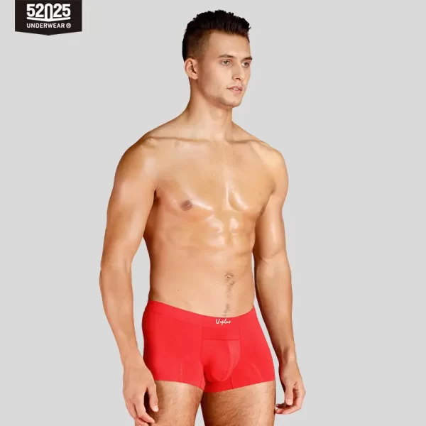 Cuecas masculina, modais de resfriamento sedoso antibacteriano, macias e respiráveis, pantufas sensuais de alta qualidade, 52025 - Image 8