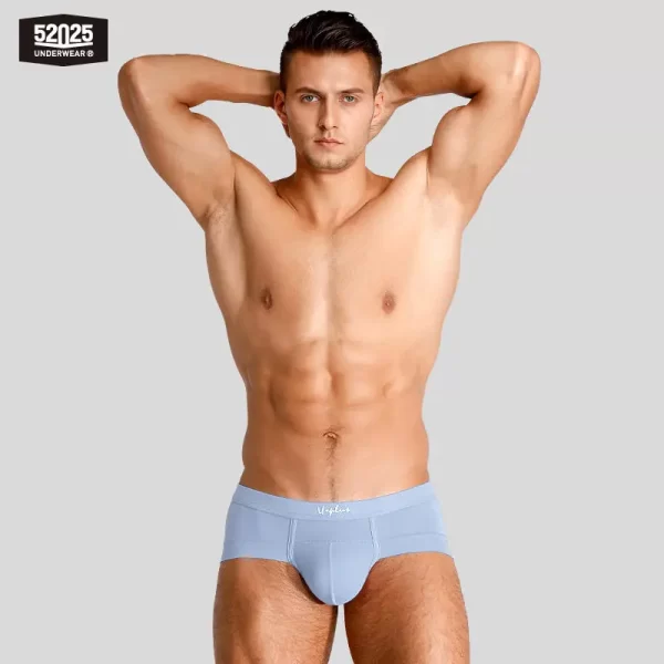 Cuecas masculina, modais de resfriamento sedoso antibacteriano, macias e respiráveis, pantufas sensuais de alta qualidade, 52025 - Image 23