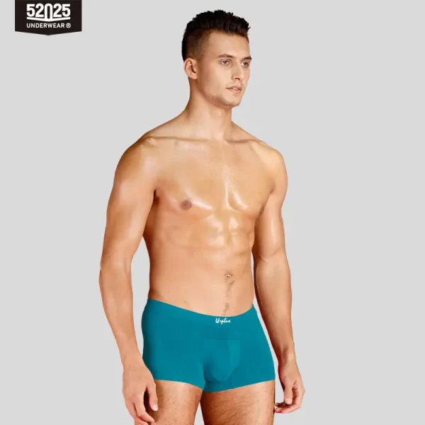 Cuecas masculina, modais de resfriamento sedoso antibacteriano, macias e respiráveis, pantufas sensuais de alta qualidade, 52025 - Image 9