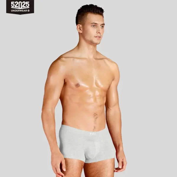 Cuecas masculina, modais de resfriamento sedoso antibacteriano, macias e respiráveis, pantufas sensuais de alta qualidade, 52025 - Image 11