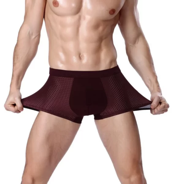 Cueca boxer masculina, Bamboowear-bambu, de microfibra, compressão, estiramento, xin-transporte - Image 7