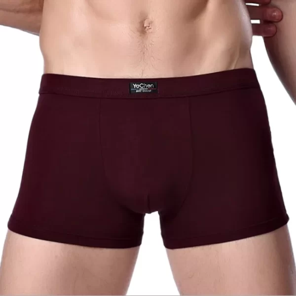 Cueca boxer masculina de bambu sexy, nova moda boxer shorts underware 4 pçs/lote.