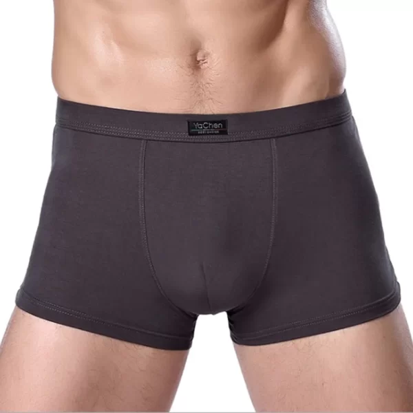 Cueca boxer masculina de bambu sexy, nova moda boxer shorts underware 4 pçs/lote. - Image 2
