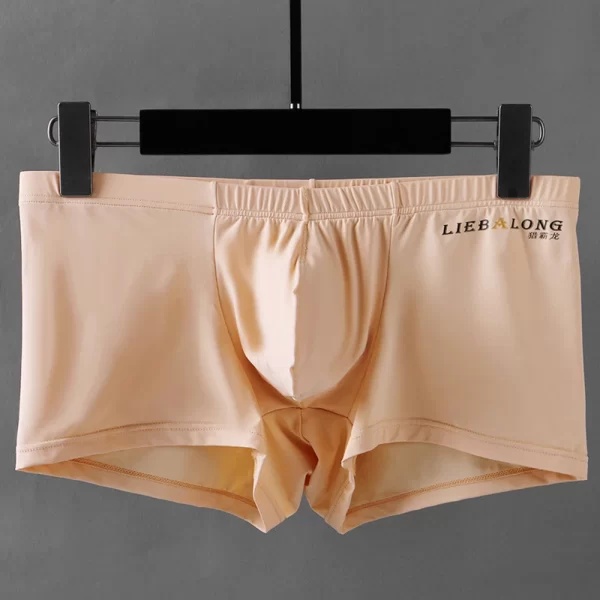 Cuecas boxer masculina, fino respirável, roupa interior sexy, lingerie transparente, shorts macios, bolsa de bojo cuecas - Image 4