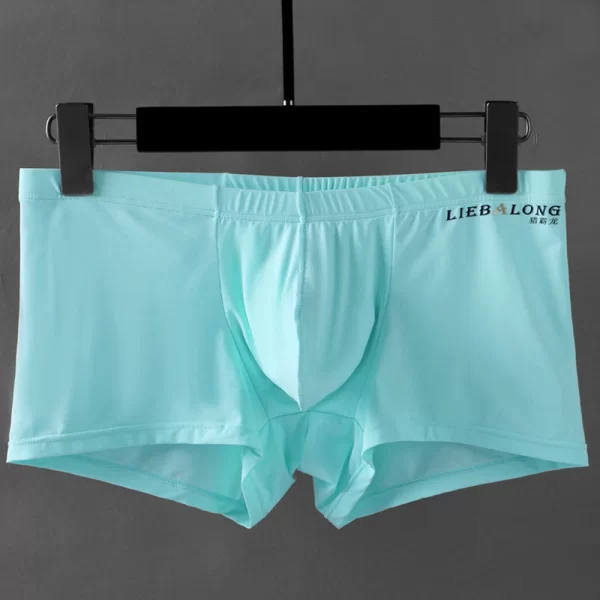 Cuecas boxer masculina, fino respirável, roupa interior sexy, lingerie transparente, shorts macios, bolsa de bojo cuecas - Image 8