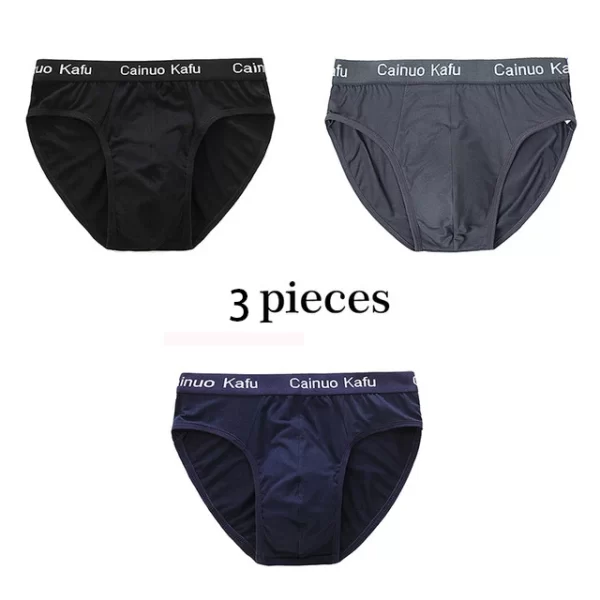 Cueca masculina de seda, nova briefs de fibra de bambu, bodysuit, confortável sólida, kit com 3 pçs - Image 8