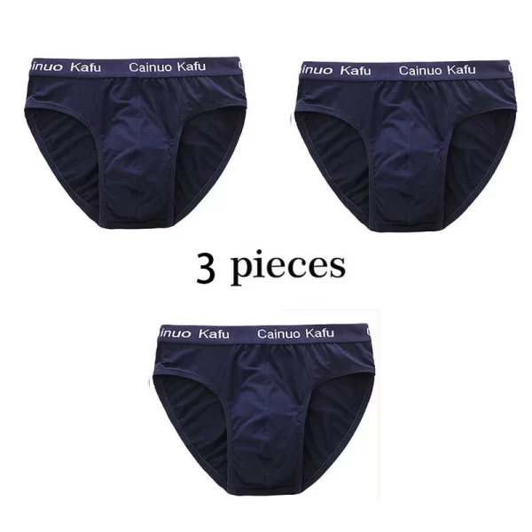 Cueca masculina de seda, nova briefs de fibra de bambu, bodysuit, confortável sólida, kit com 3 pçs - Image 15