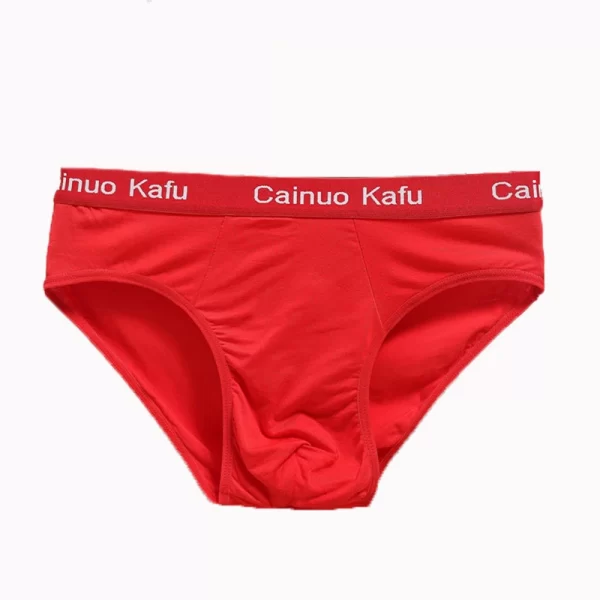 Cueca masculina de seda, nova briefs de fibra de bambu, bodysuit, confortável sólida, kit com 3 pçs - Image 3