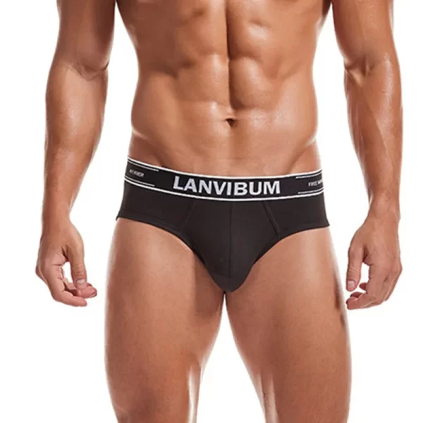 Cueca masculina,Lanvibum, de verão, tecido algodão, u convexo saco confortável respirável cor sólida simples meados cintura, interior. - Image 6